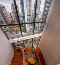 Paterson Collection (D9), Condominium #480023901